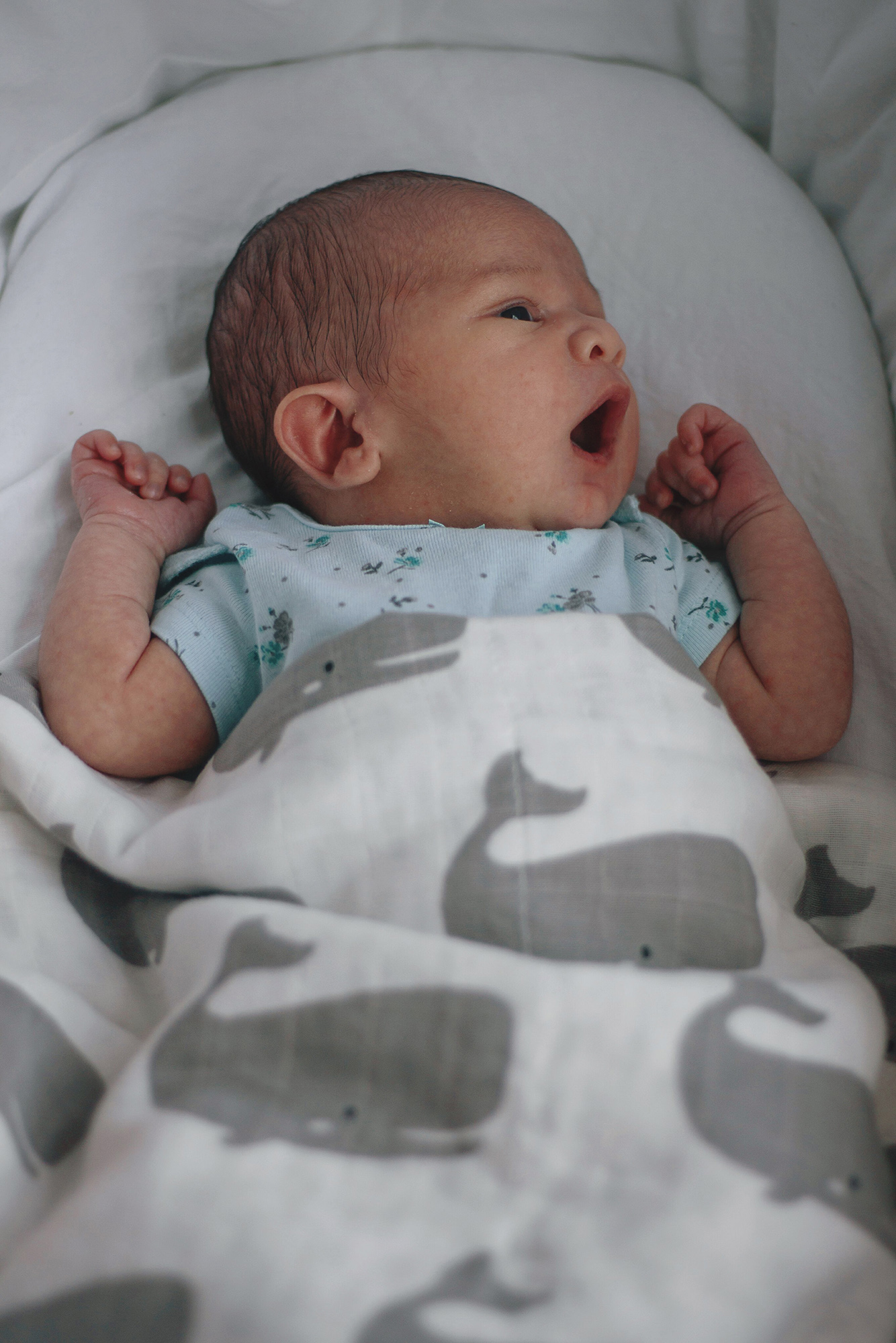 a 5 day old baby in her moses basket. closer image. 