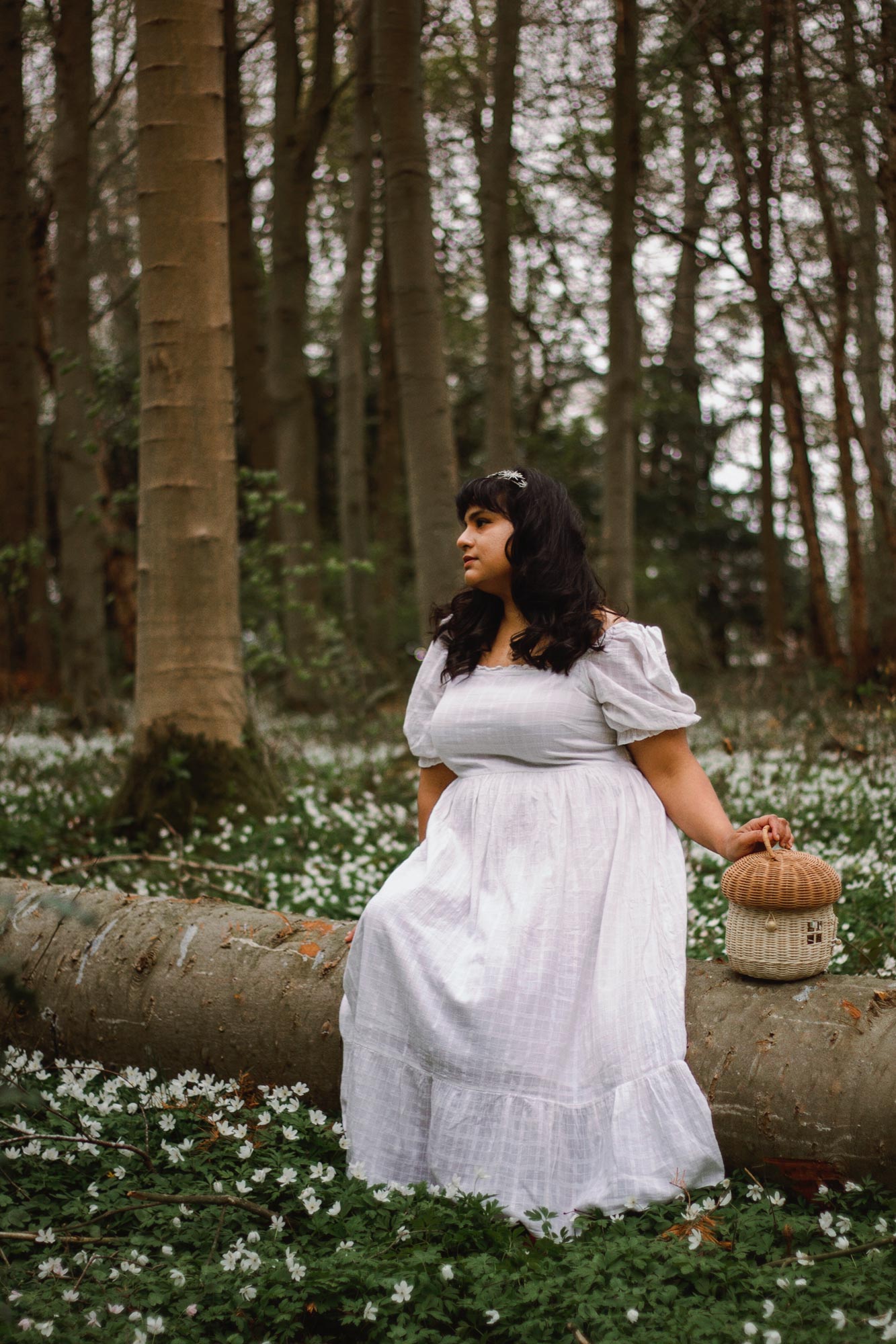 The perfect plus size cottagecore dress A Curious Fancy